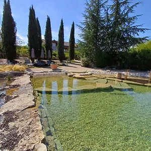 puravida-lodge.hotels-rhonealpes.com/